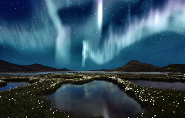 The sky, water, stars, flowers, Northern lights, swamp