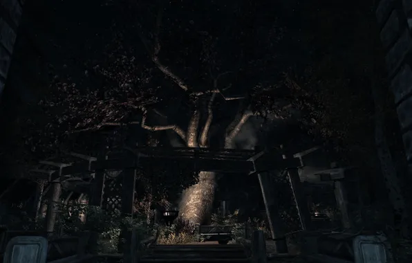 Night, Skyrim, The elder scrolls, Whiterun, Pyrethrum