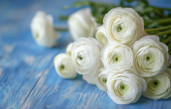 Flowers, Board, bouquet, white, blue background, Ranunculus, AI art, neural network