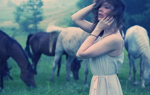 Picture greens, girl, the wind, horse, brown hair