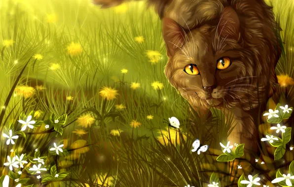 Wallpaper  Warrior cats, Warrior cats art, Warrior cat