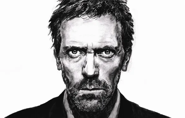 Picture portrait, actor, Hugh Laurie