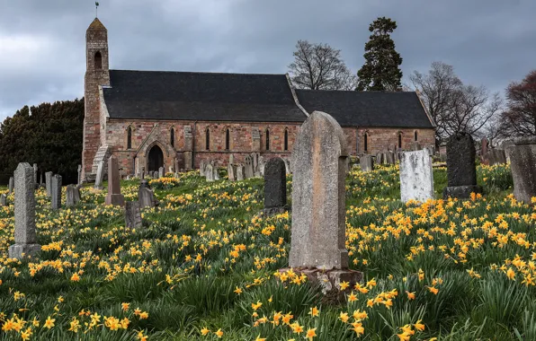 Flowers, stones, spring, Church, cemetery, tombstones, old, architecture