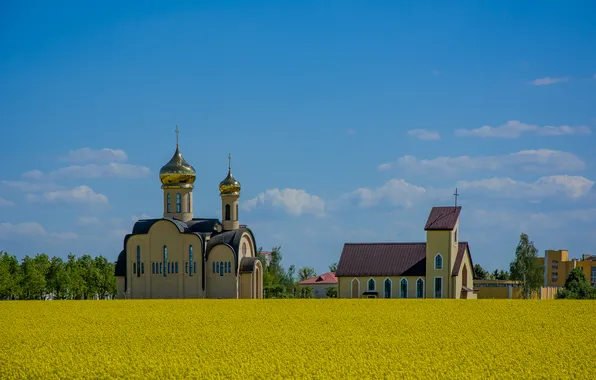 Field, landscape, spring, temple, architecture