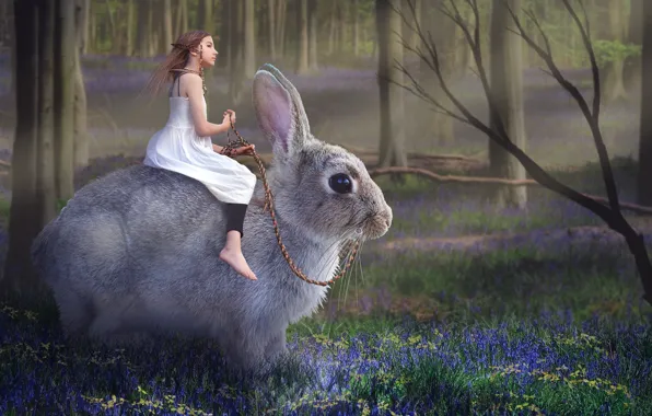 Forest, trees, flowers, branches, fog, rendering, grey, fantasy