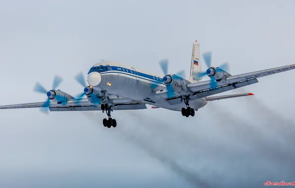 The sky, the plane, flies