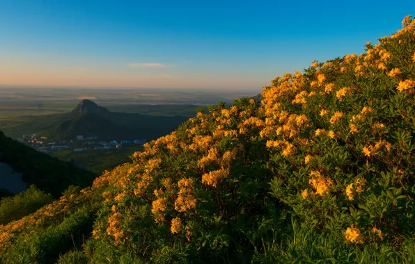 The sky, flowers, mountains, blue, hills, view, height, dal