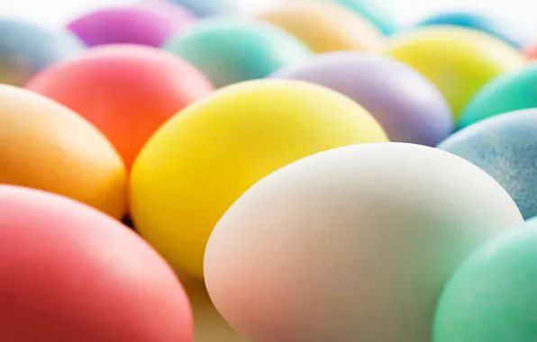 Holiday, color, eggs