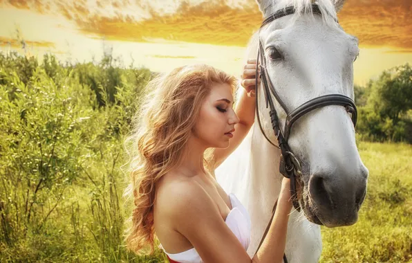 Picture field, grass, girl, the sun, mood, horse, blonde, white