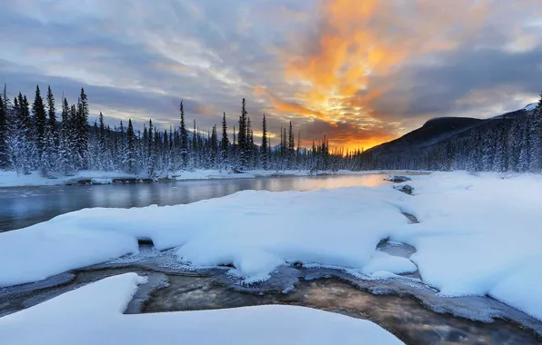 Winter, snow, trees, mountains, river, Canada, Albert, Banff national park
