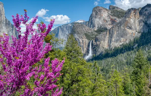 Trees, mountains, waterfall, CA, California, Yosemite national Park, Yosemite National Park, Sierra Nevada