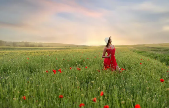 Picture girl, Maki, poppy field