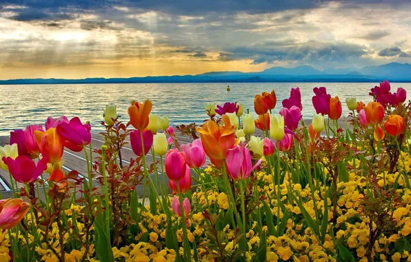 The sky, clouds, flowers, mountains, lake, Italy, tulips, spring