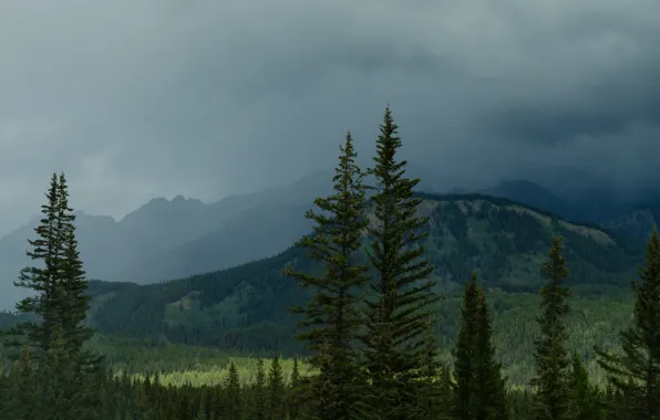 Trees, mountains, storm, nature, storm, Nature, trees, mountains