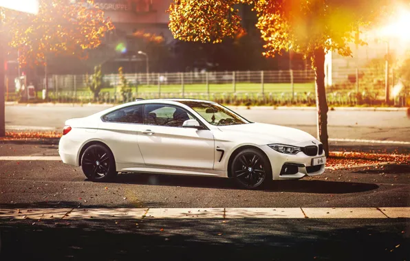 Picture autumn, BMW, white, 4 Series, F32, 420d