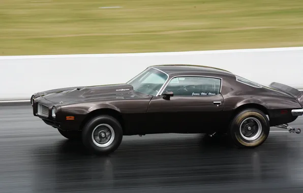 Speed, muscle car, pontiac, Firebird