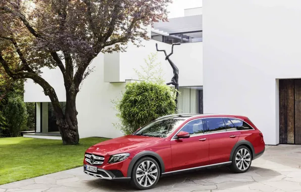 Mercedes, Mercedes, E-Class, All-Terrain