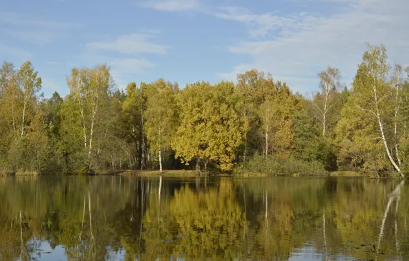 Nature, Reflection, Autumn, Lake, Trees, Russia, Nature, Fall
