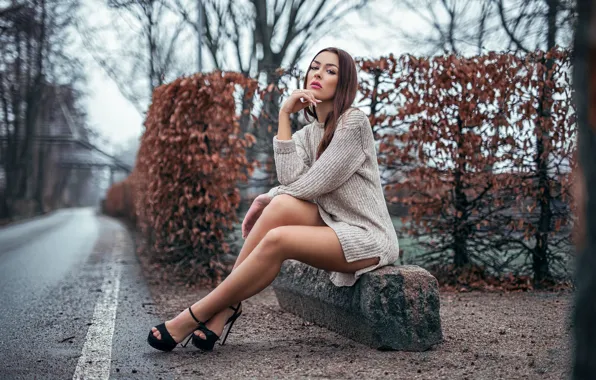 Road, autumn, girl, trees, makeup, figure, dress, hairstyle