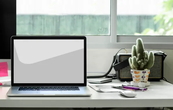 Table, cactus, window, laptop, bokeh