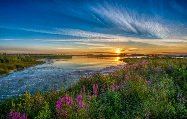 Greens, the sky, grass, color, the sun, clouds, rays, landscape