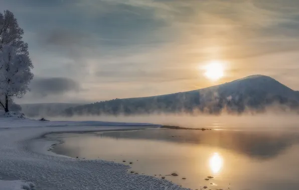 Winter, the sun, snow, trees, landscape, nature, fog, lake