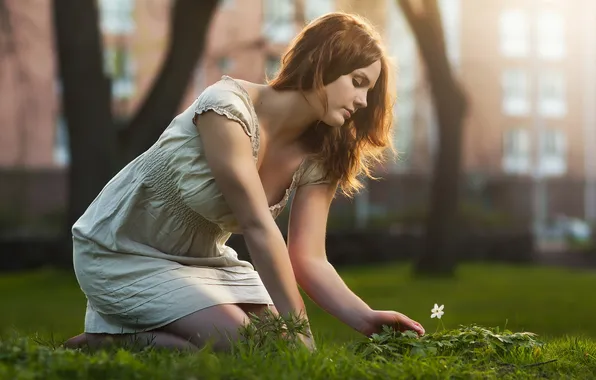 Picture summer, girl, flowers