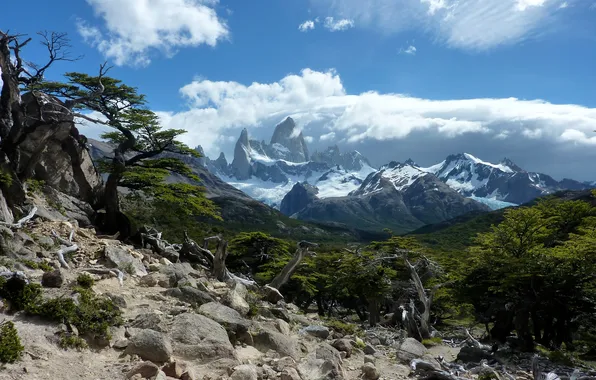 Picture the sky, clouds, snow, trees, mountains, stones, tops