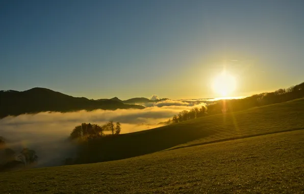 Picture the sky, the sun, light, trees, landscape, fog, hills