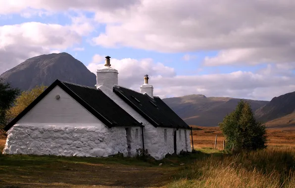 White, grass, clouds, trees, mountains, home, whitewash