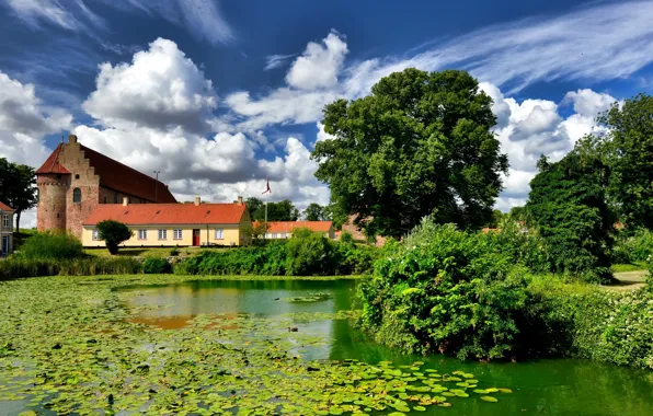 Picture greens, the sky, the sun, clouds, trees, pond, the reeds, castle