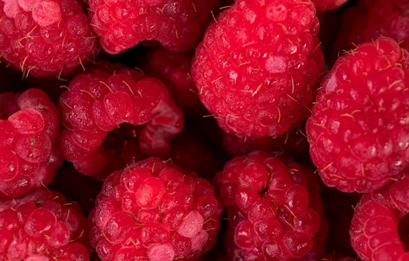 Berries, raspberry, background, background, Raspberry