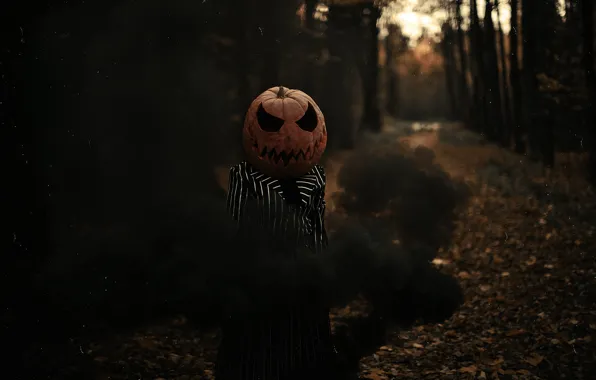 Road, autumn, forest, girl, nature, pose, the dark background, fear