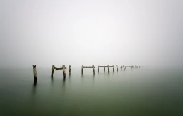 Fog, lake, tree, posts, wood, lake, fog, pillars