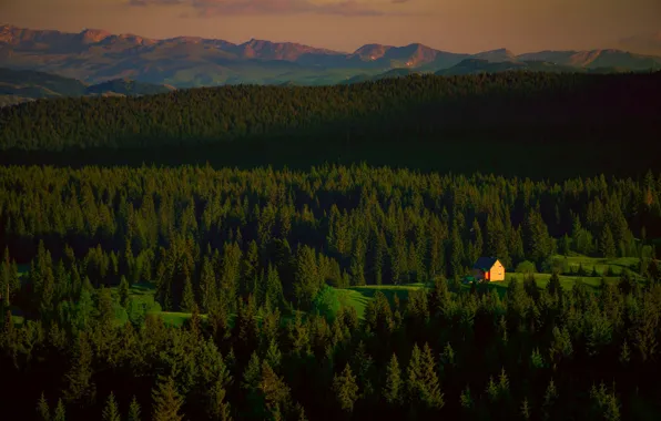 Forest, mountains, house