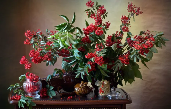 Picture branches, berries, still life, table, currants, vase, bunches, elder