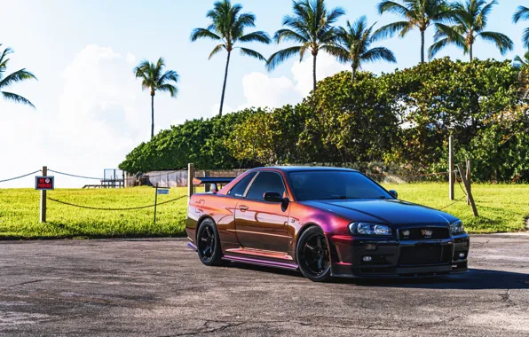 Picture GT-R, Palm trees, V-Spec