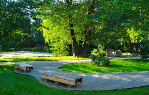 Trees, park, bench, alley
