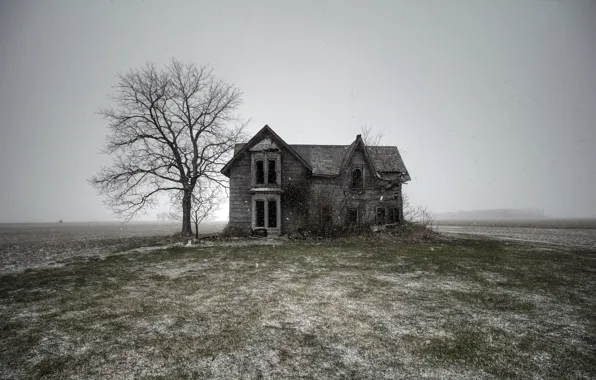 Picture field, nature, home