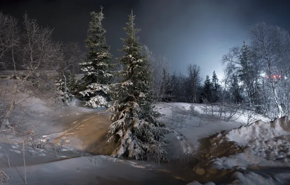 Picture winter, snow, landscape, night, tree