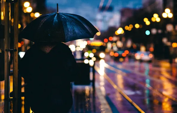 Picture machine, the city, lights, rain, street, the evening, umbrella, Bloor