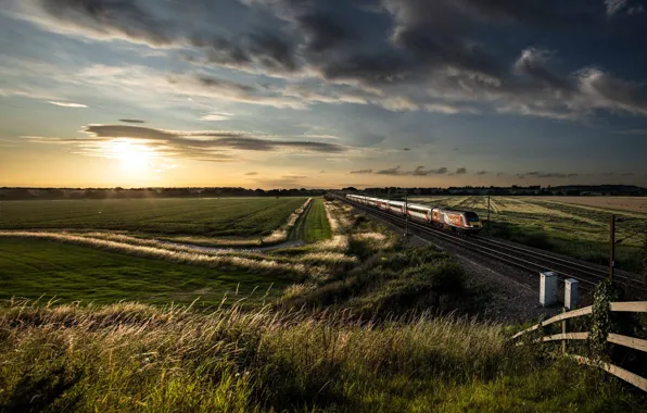 Field, summer, sunset, train, railroad
