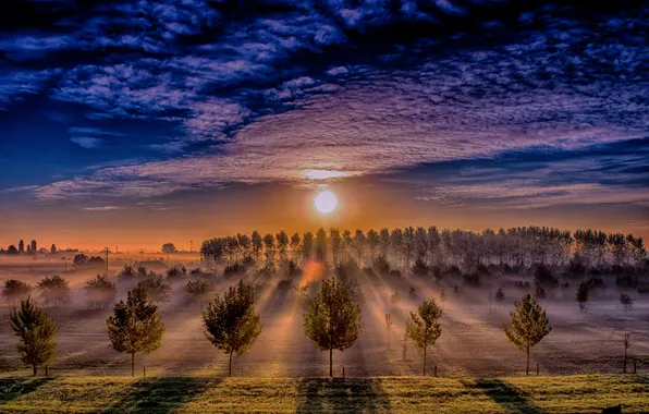 Field, the sky, sunset, nature, fog