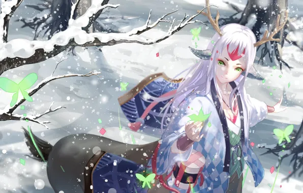 Winter, look, art, Onmyouji, shan-n