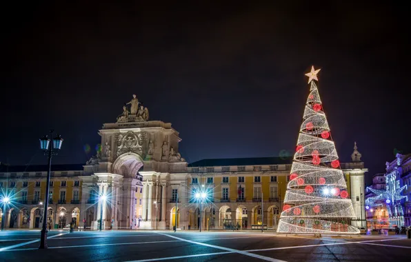 The sky, night, the building, tree, area, lights, New year, garland