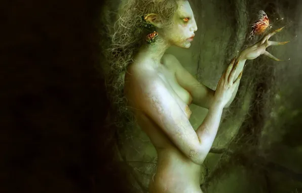 Butterfly, woman, figure, frog