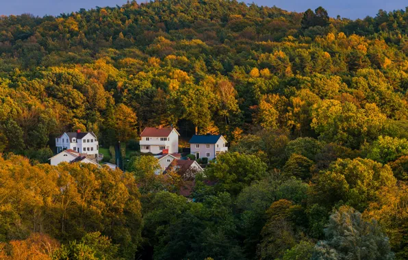 Autumn, forest, the sun, trees, houses, Sweden, the view from the top, Gothenburg
