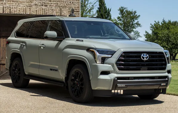 Toyota, TRD, Sequoia, Sport Package, 2023