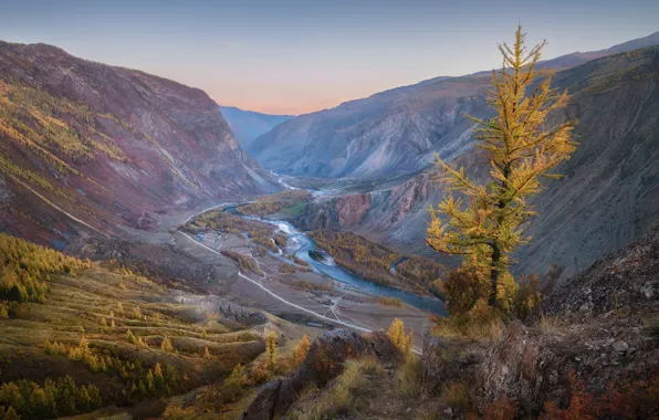 Autumn, landscape, mountains, nature, river, valley, canyon, Altay