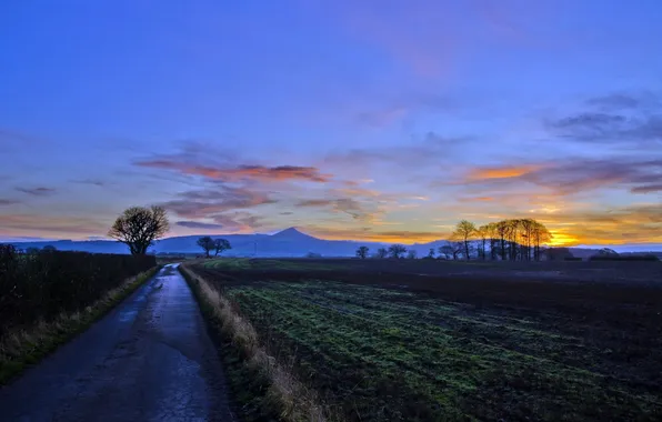 Picture road, field, landscape, sunset
